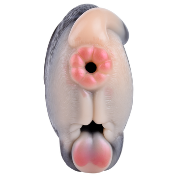 Strange Beast Squirrel Animal Pocket Pussy