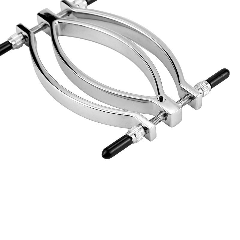 Labia Clamps Stainless Steel BDSM Strap Leash