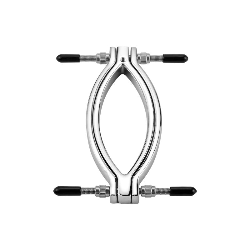 Labia Clamps Stainless Steel BDSM Strap Leash