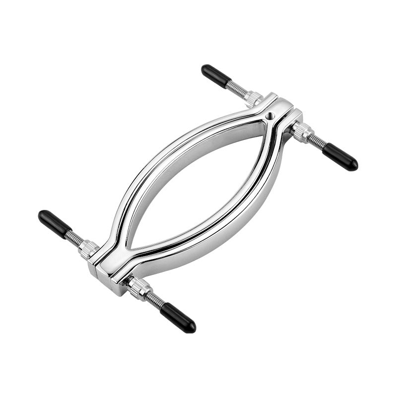 Labia Clamps Stainless Steel BDSM Strap Leash