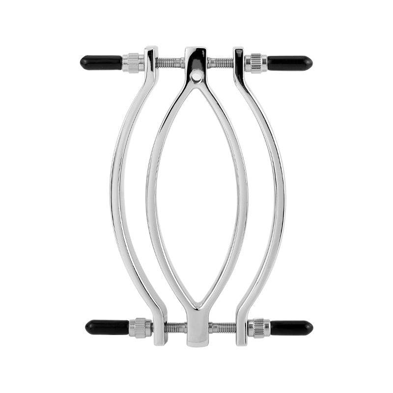 Labia Clamps Stainless Steel BDSM Strap Leash