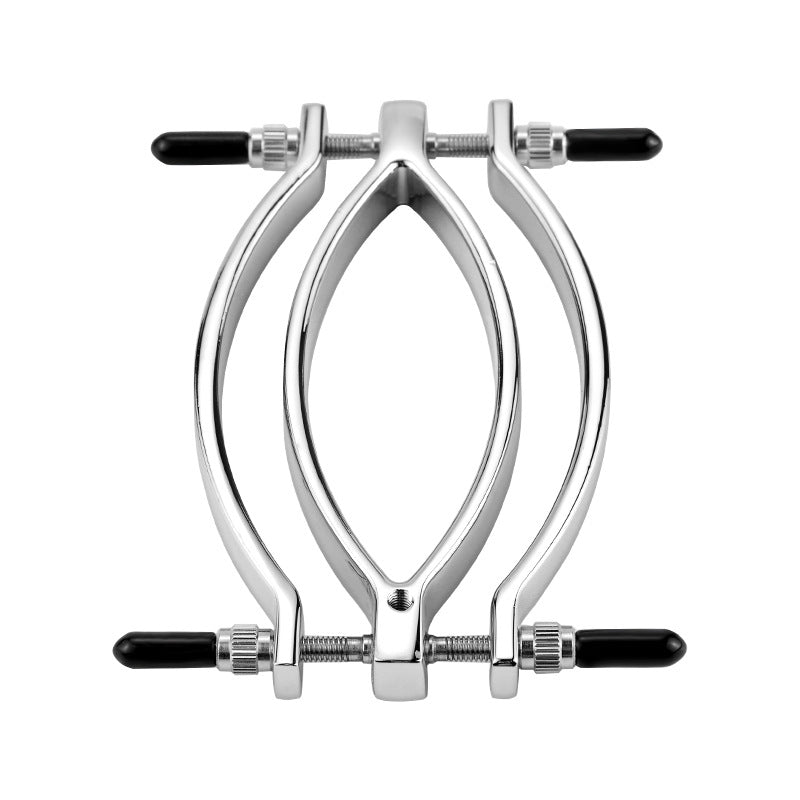 Labia Clamps Stainless Steel BDSM Strap Leash