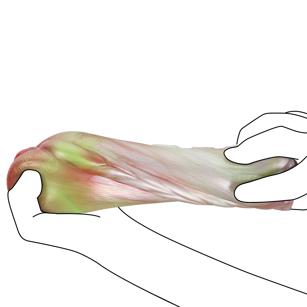 Chubby Silicone Fantasy Ragdoll Cat Pocket Pussy