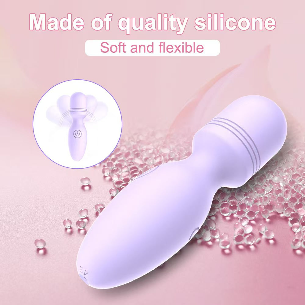 Purple Rechargeable Female Small Vibrator