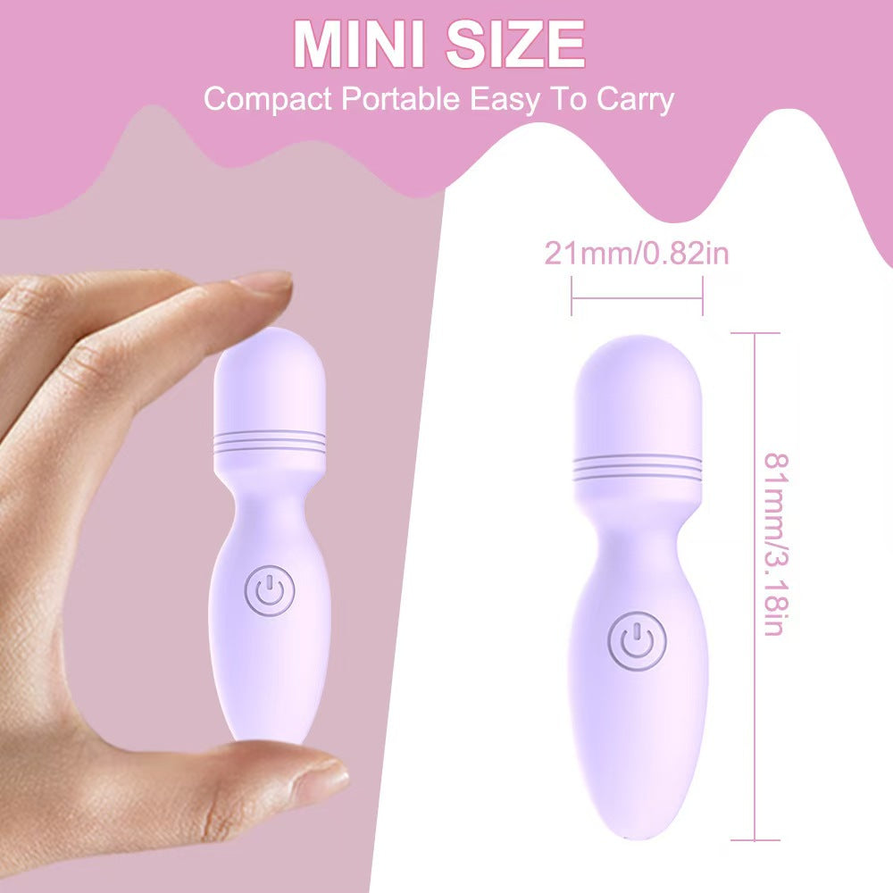 Purple Rechargeable Female Small Vibrator