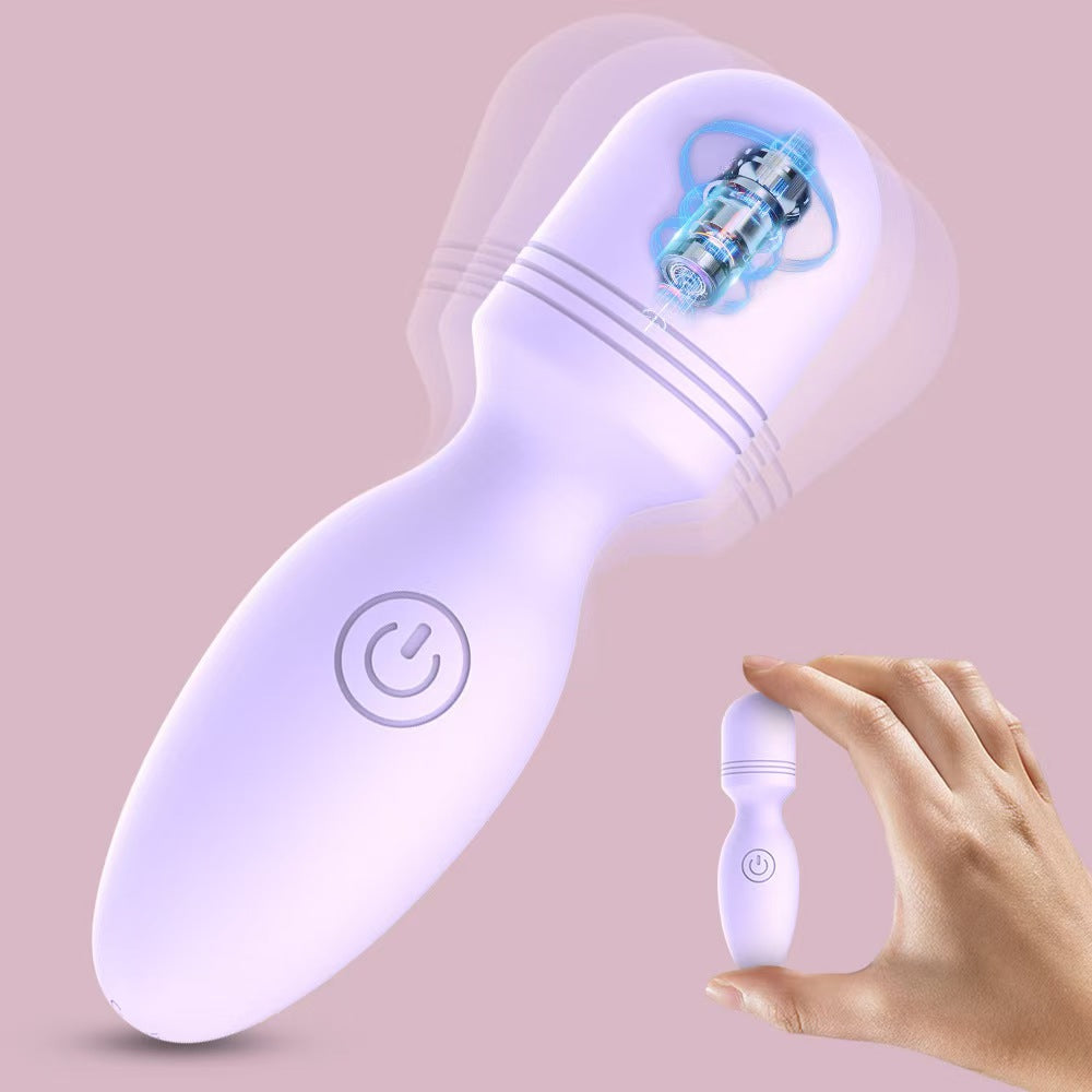 Purple Rechargeable Female Small Vibrator