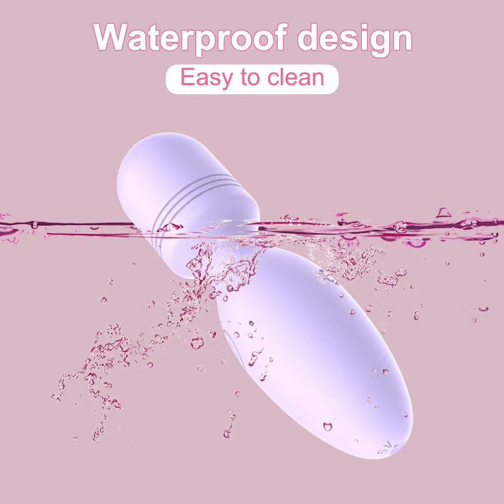 Purple Rechargeable Female Small Vibrator