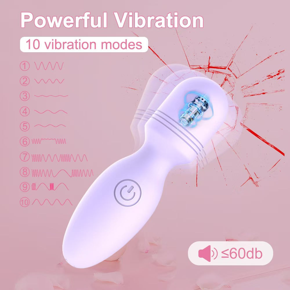 Purple Rechargeable Female Small Vibrator