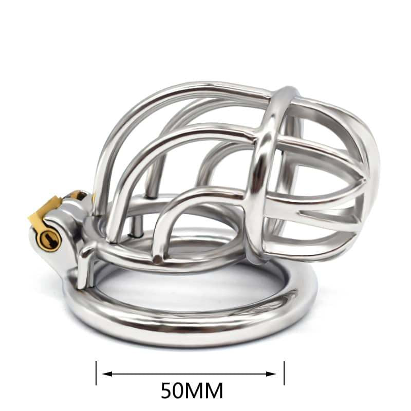 Stainless Steel Birdcage Male Chastity Cage