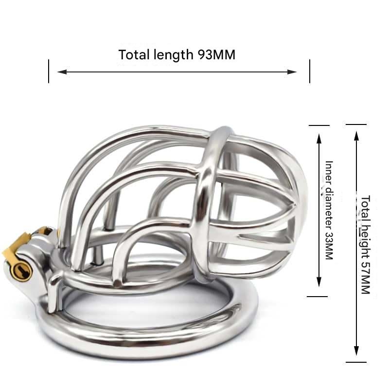 Stainless Steel Birdcage Male Chastity Cage