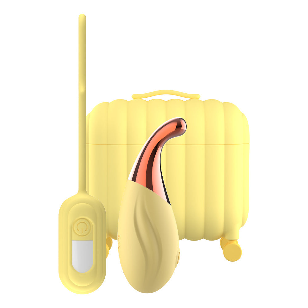 Portable Mini Travel Case Vibrator Sex Toy