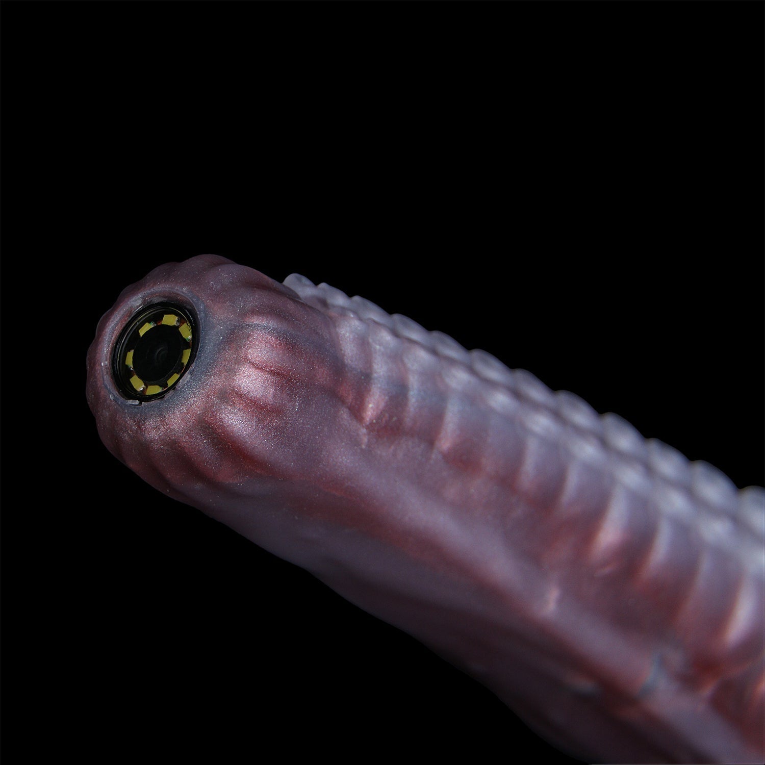 21 Inch Alien Tentacle Dildo Camera