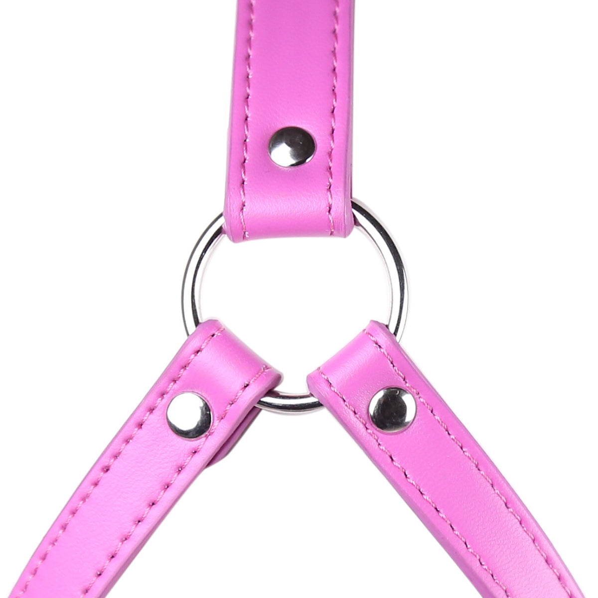 Pink Removable Leather BDSM Mask Ball Gag