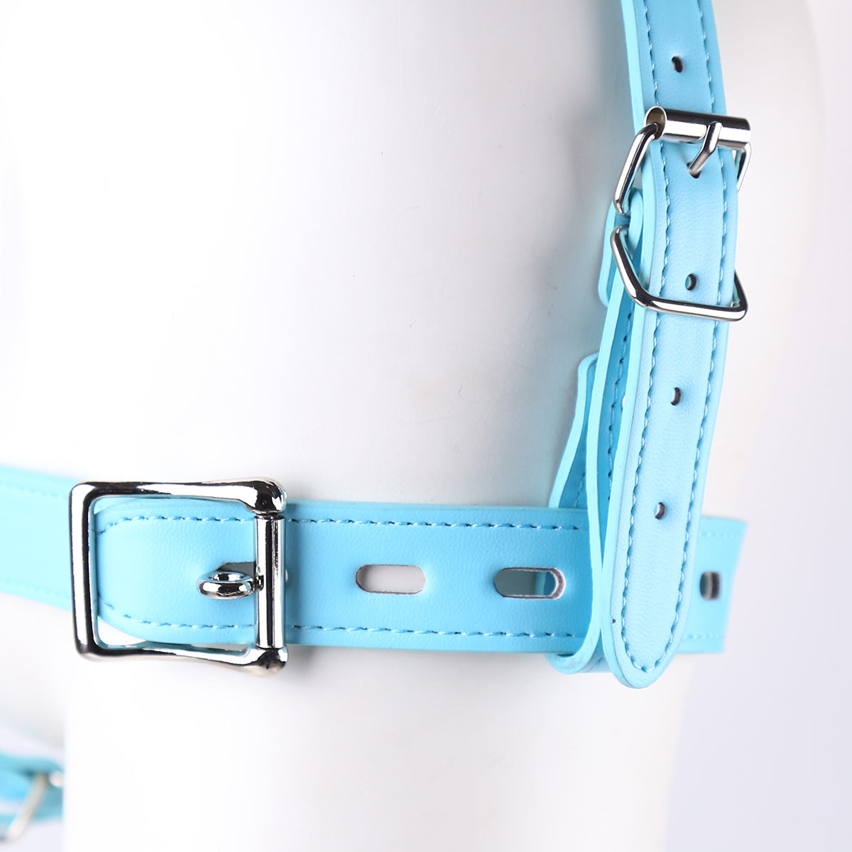 Blue Bondage Dog Mask BDSM Ball Gag