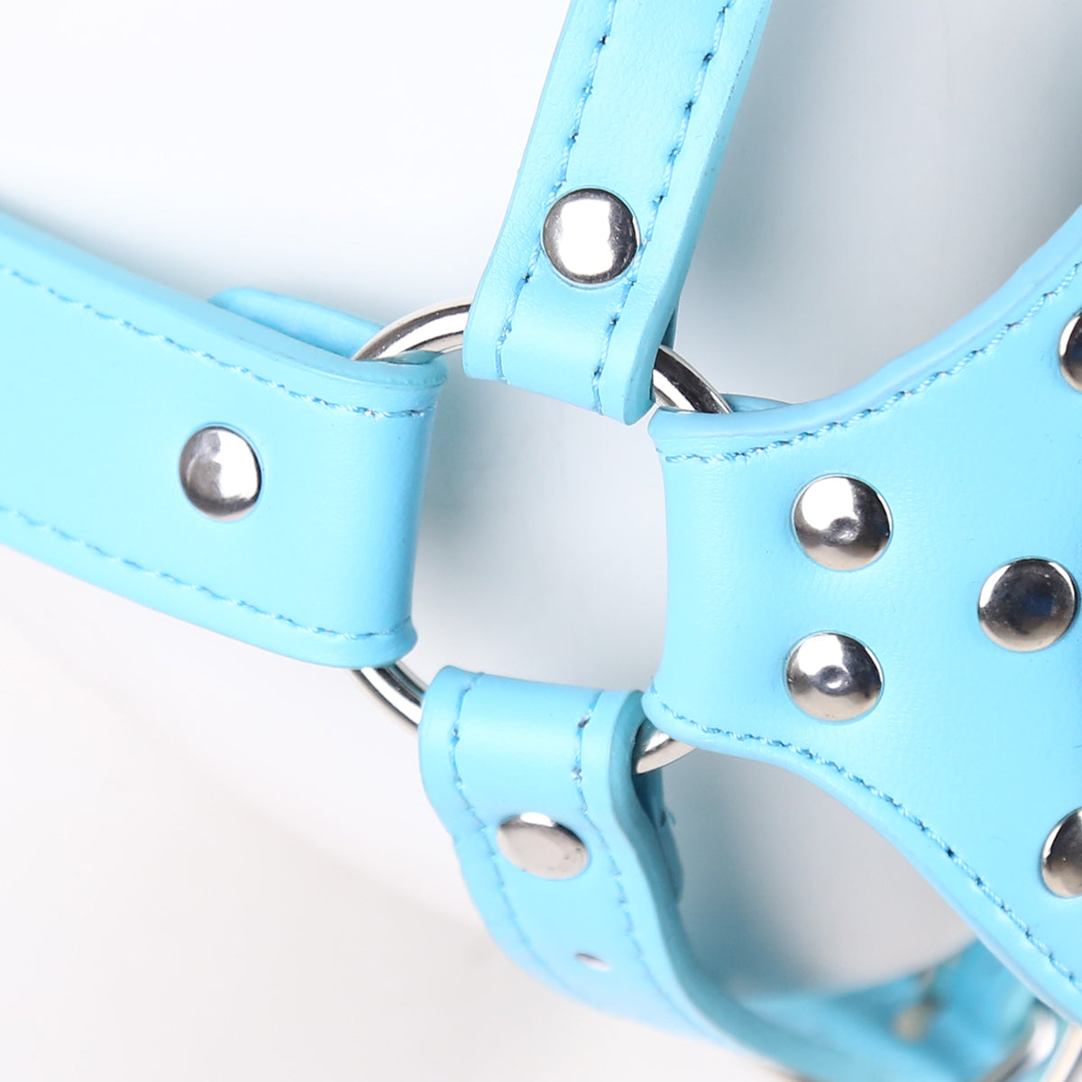 Blue Bondage Dog Mask BDSM Ball Gag