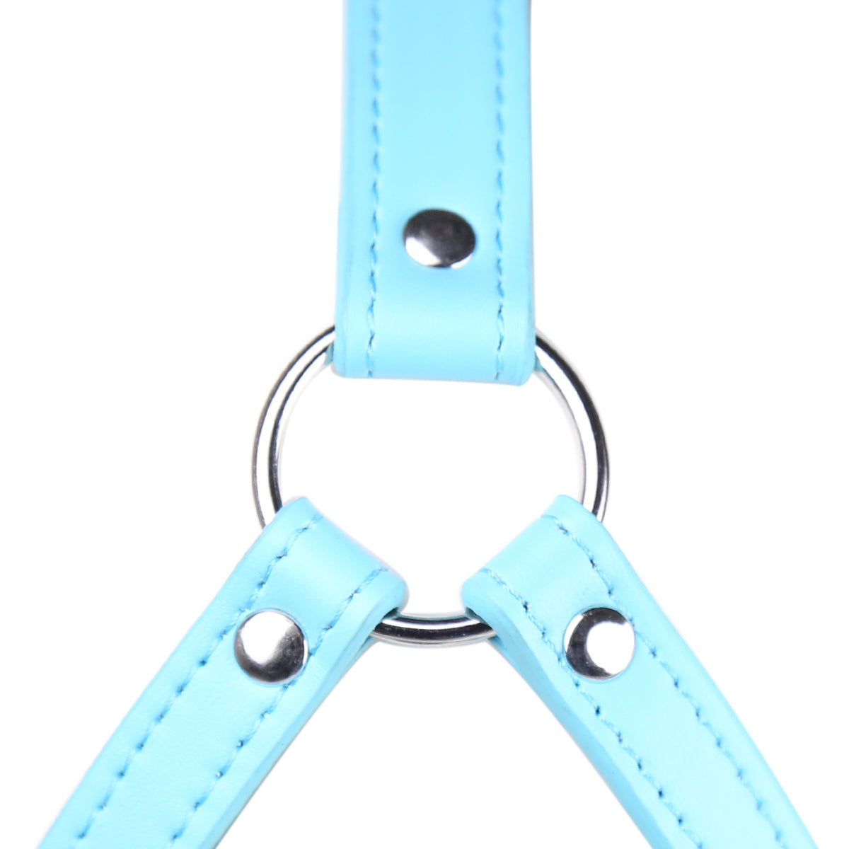 Blue Bondage Dog Mask BDSM Ball Gag