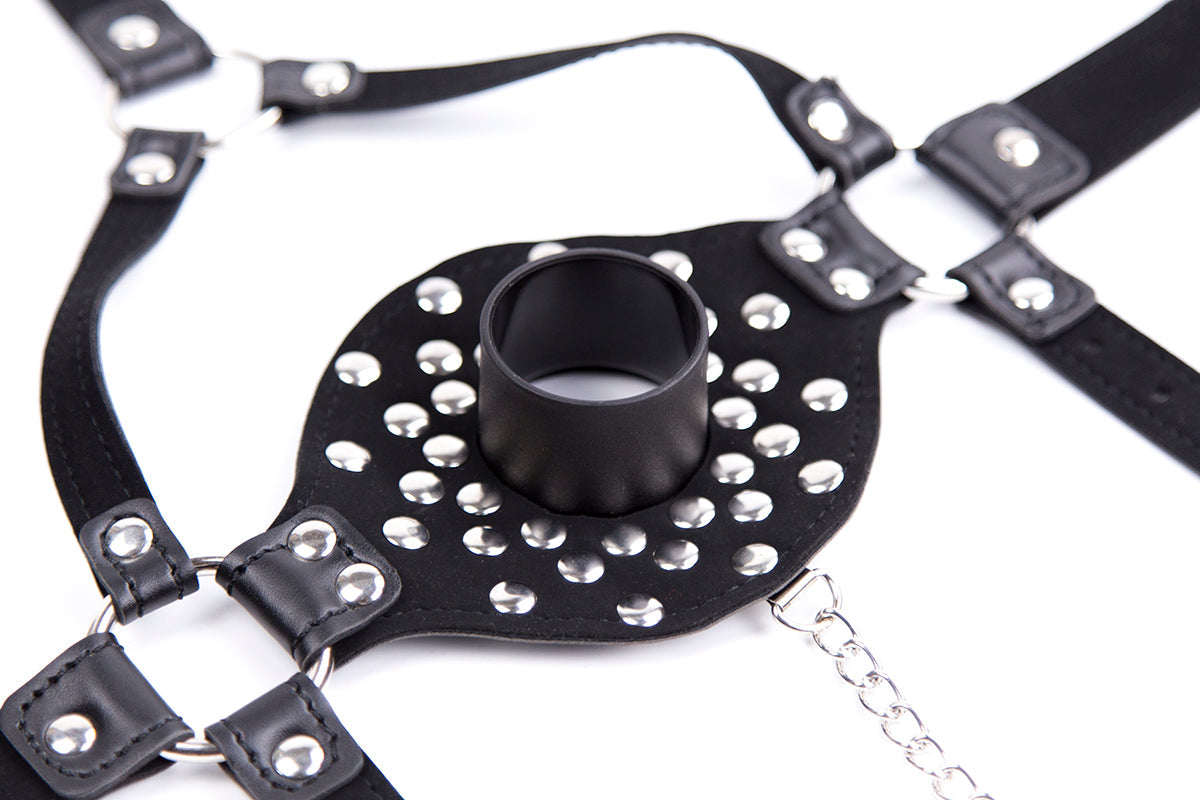 Black Leather Removable BDSM Ball Mask Gag