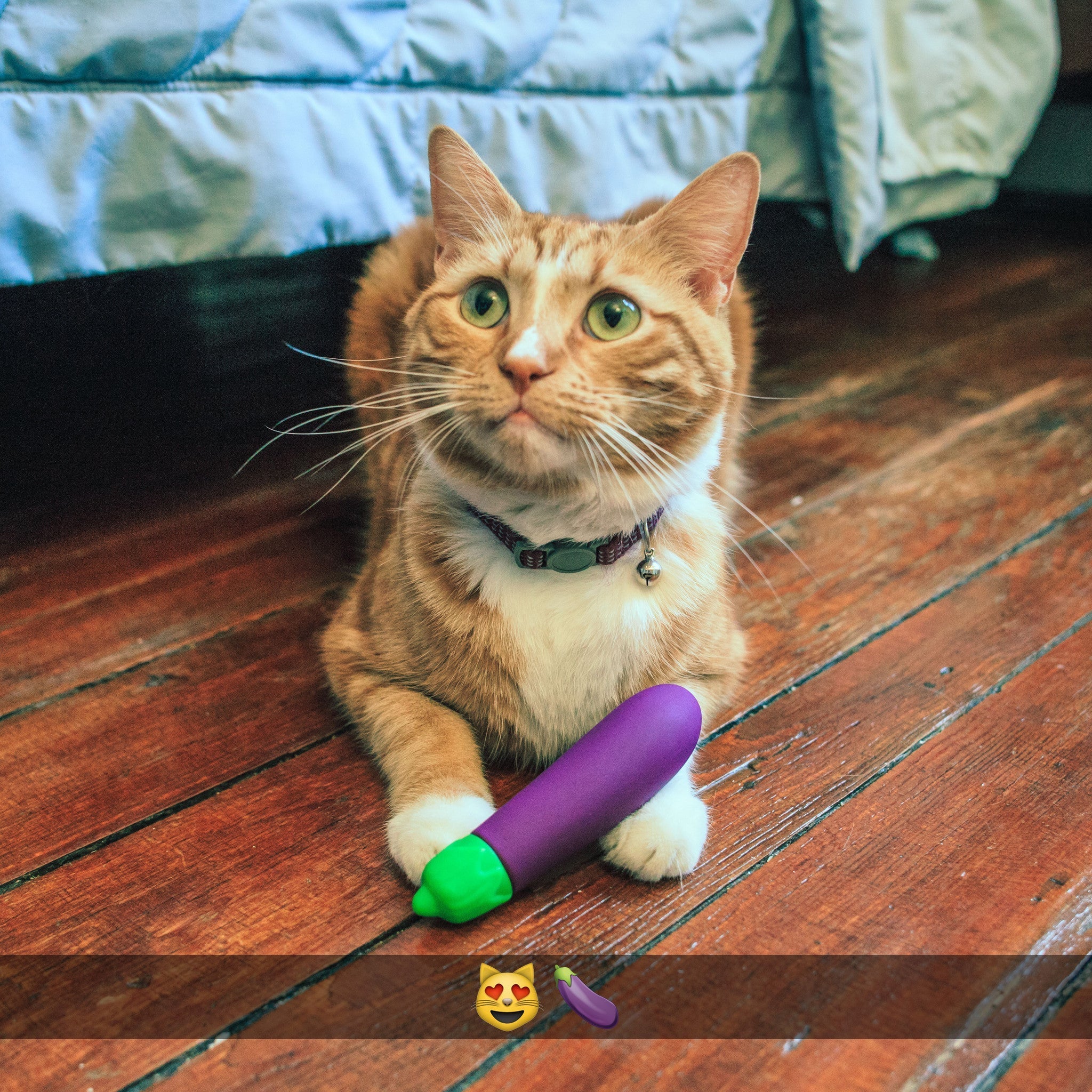 Cute Small Eggplant Clit Vibrator