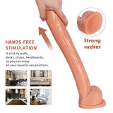 画像をギャラリー ビューアにロード 16 inch Dildo Extra Long Large Dildo